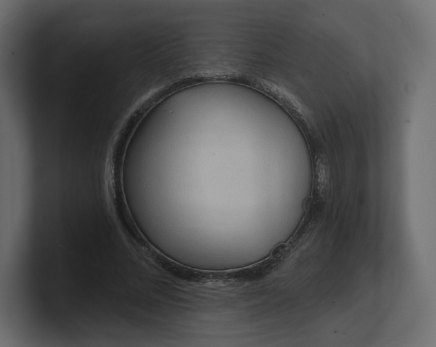 X0000100470684200806271142