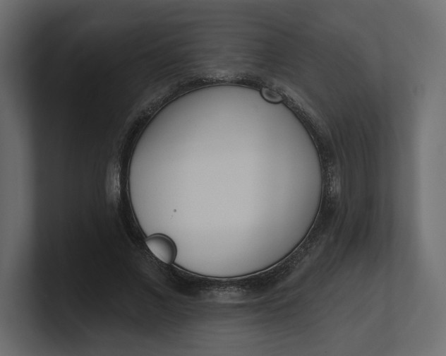 X0000100470685200806271142