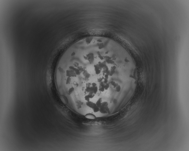 X0000100470687200806271142