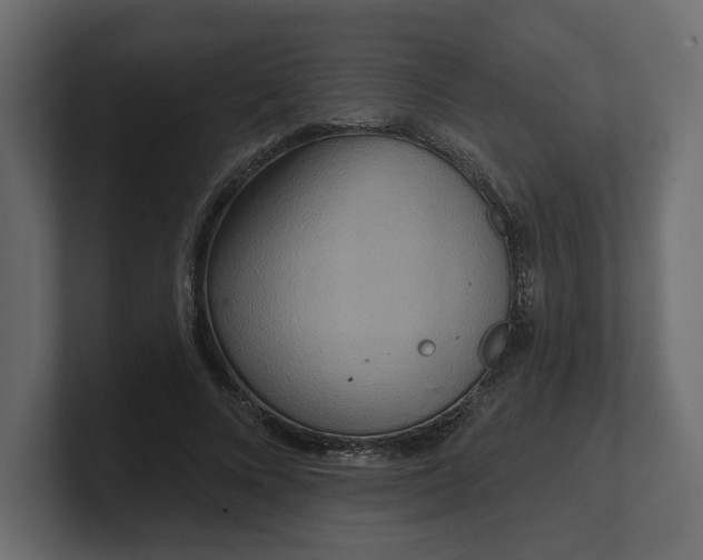 X0000100470688200806271142