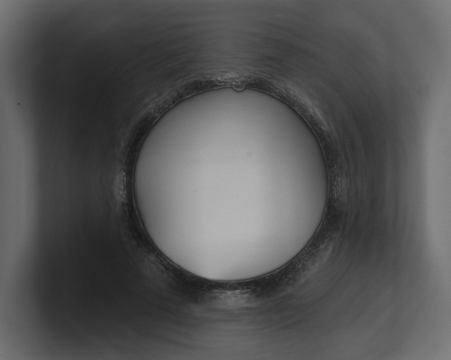 X0000100470689200806271142