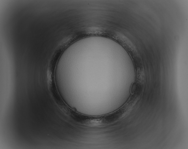 X0000100470692200806271142