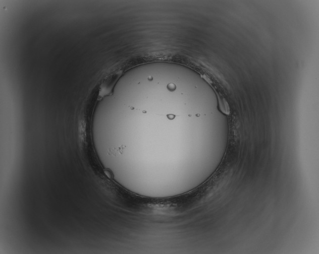 X0000100470693200806271142