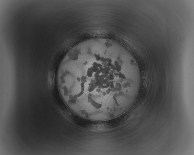 X0000100470695200806271142