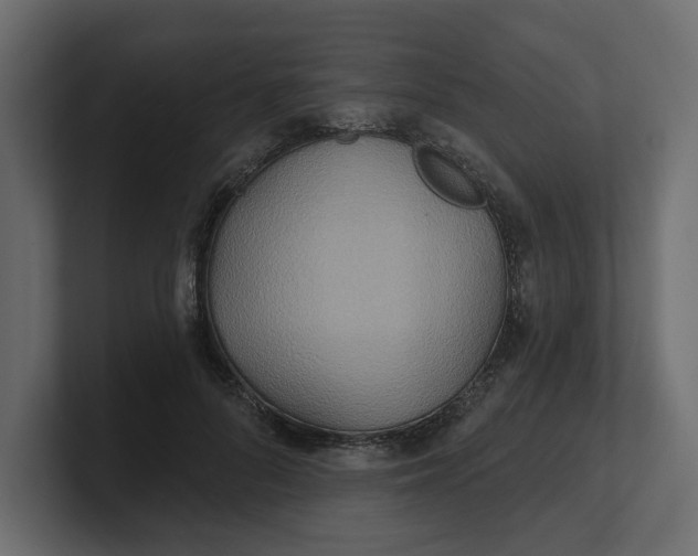 X0000100470696200806271142