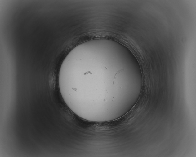 X0000100470697200806271142