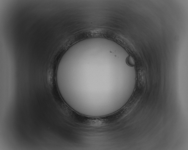 X0000100470698200806271142