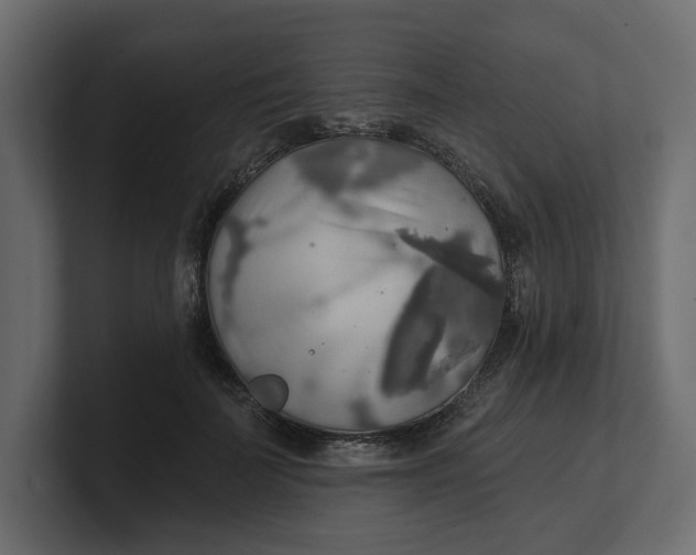 X0000100470699200806271142