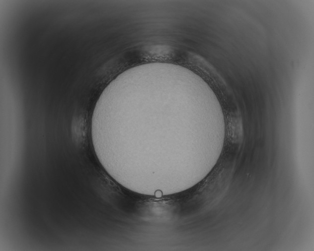 X0000100470701200806271142