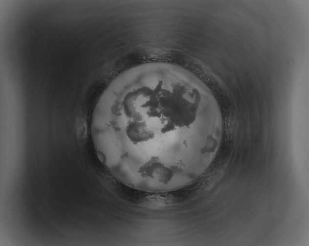 X0000100470703200806271142