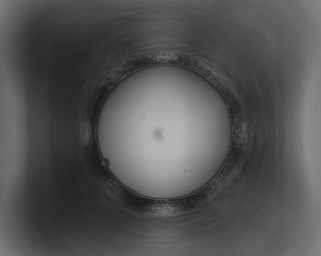 X0000100470704200806271142