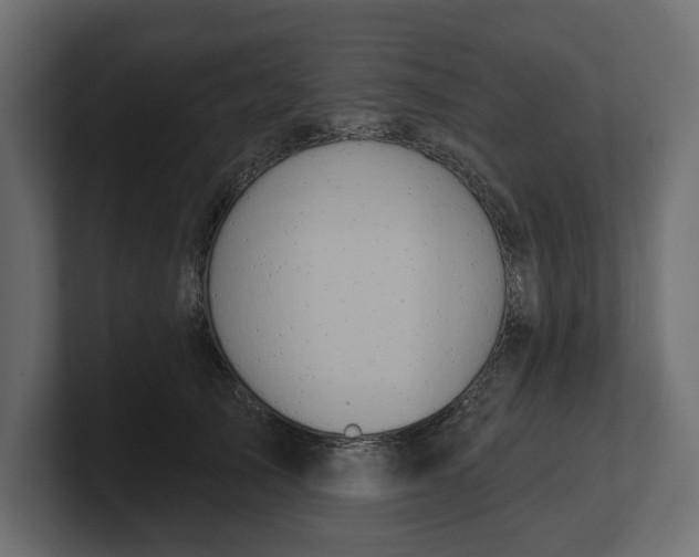 X0000100470705200806271142