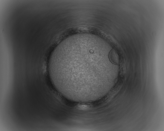 X0000100470706200806271142