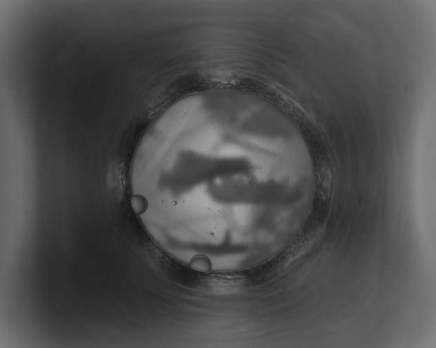 X0000100470707200806271142