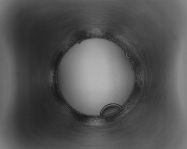 X0000100470708200806271142