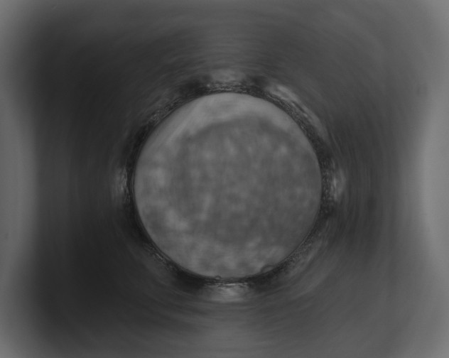 X0000100470711200806271141