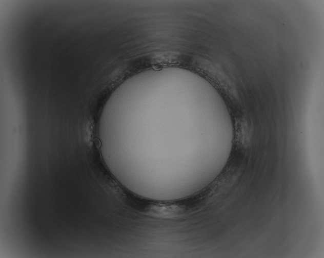 X0000100470712200806271141