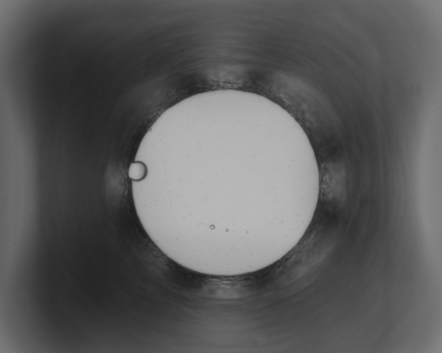 X0000100470713200806271141