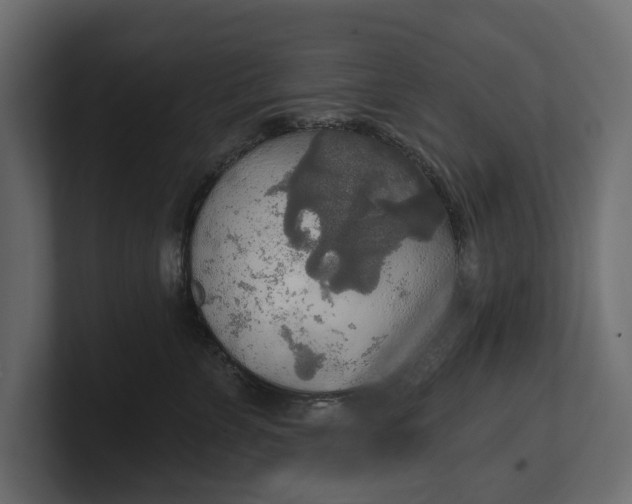 X0000100470715200806271141