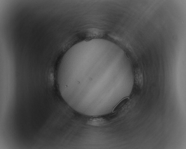 X0000100470716200806271141