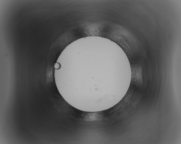 X0000100470717200806271141