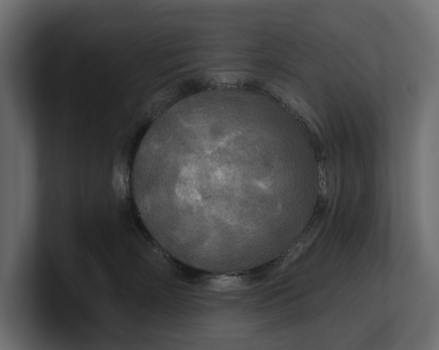 X0000100470718200806271141