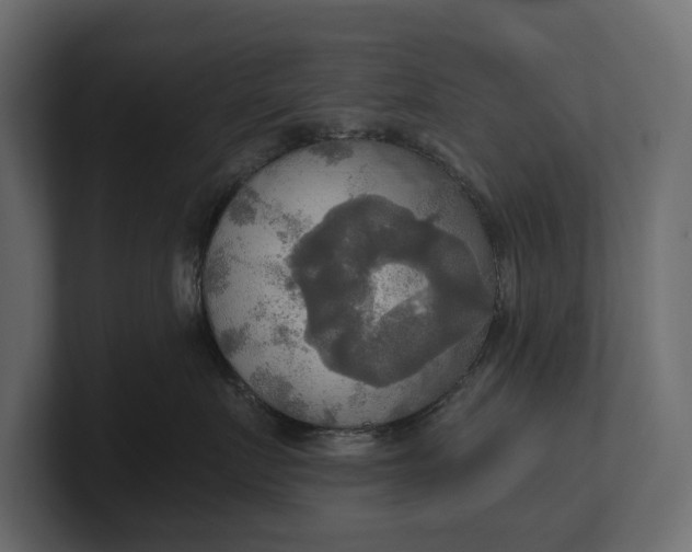 X0000100470719200806271141