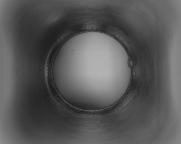 X0000100470722200806271141