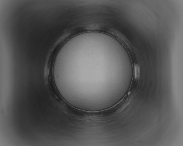 X0000100470723200806271141