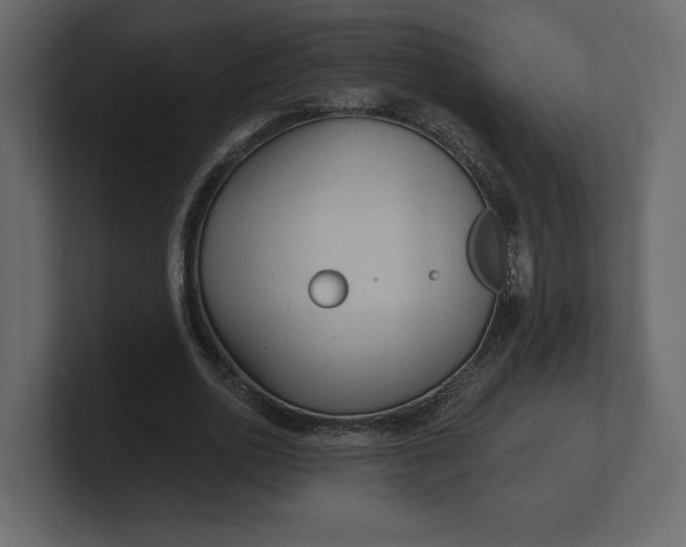 X0000100470726200806271141