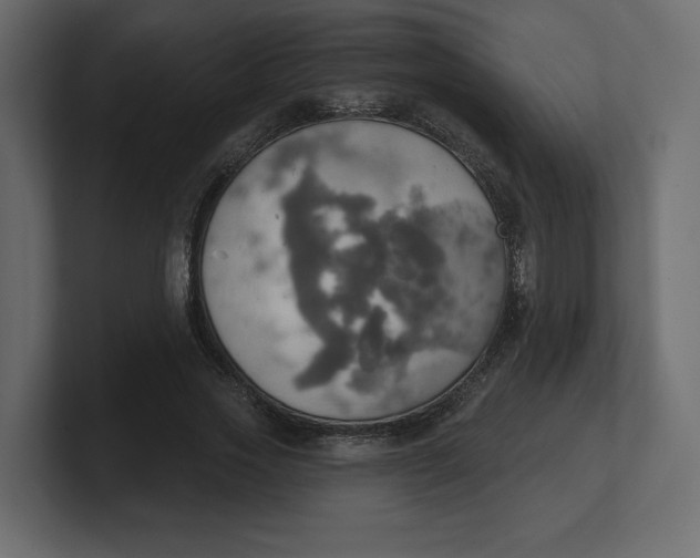 X0000100470733200806271141