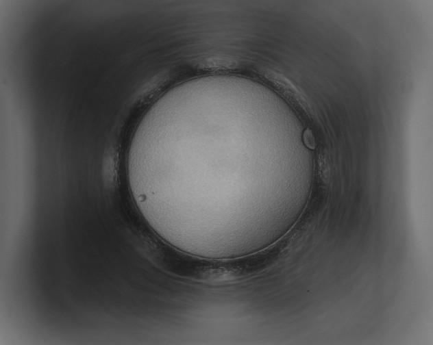 X0000100470735200806271141