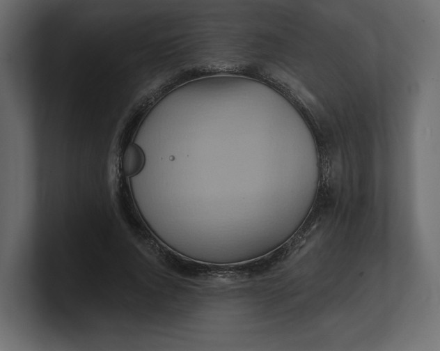 X0000100470736200806271141