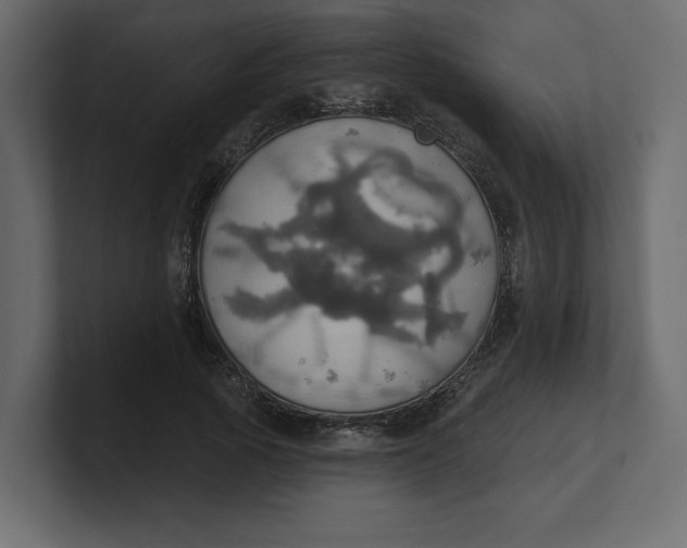 X0000100470737200806271141