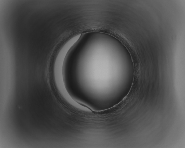 X0000100470738200806271141