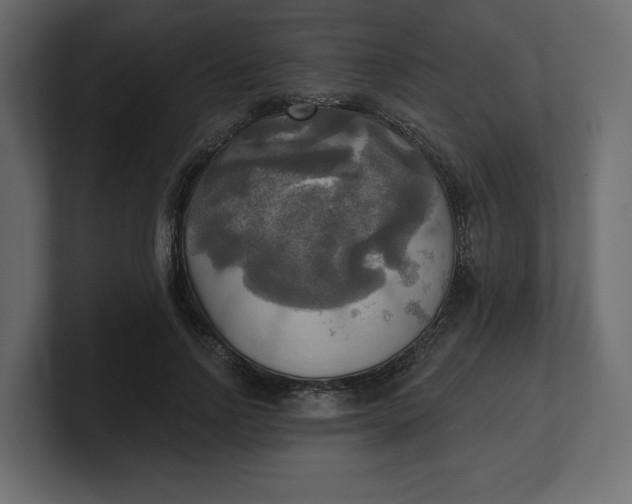 X0000100470742200806271141