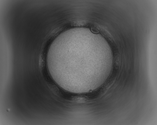 X0000100470743200806271141