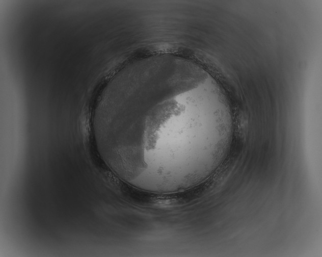 X0000100470746200806271141