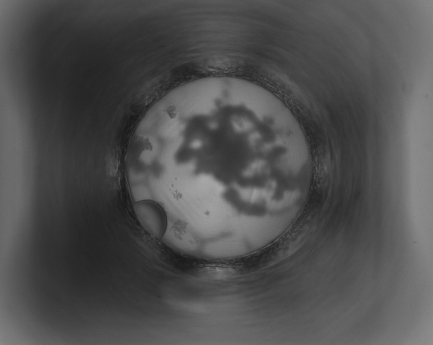 X0000100470749200806271141