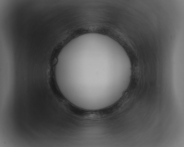 X0000100470750200806271141