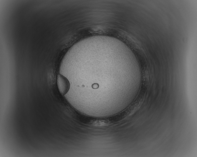 X0000100470751200806271141