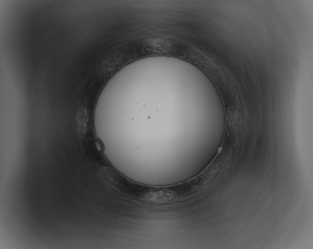 X0000100470752200806271141