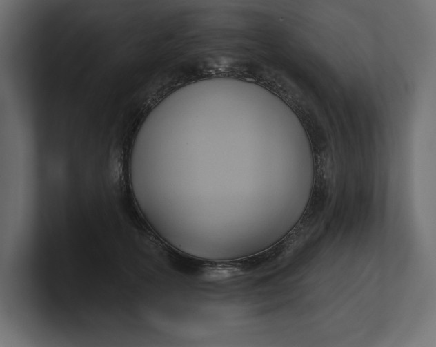 X0000100470754200806271141