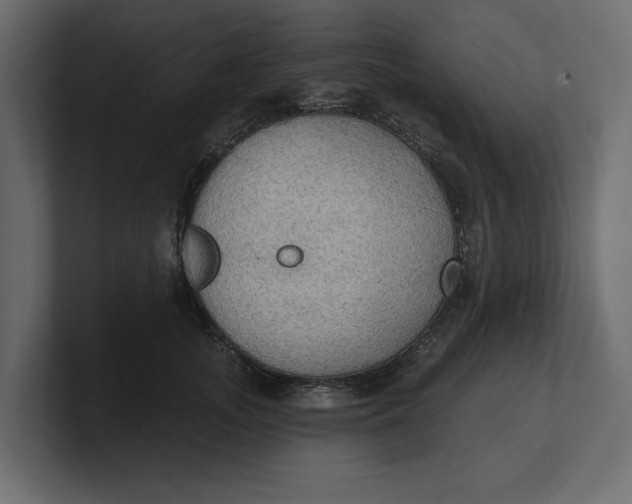 X0000100470755200806271141