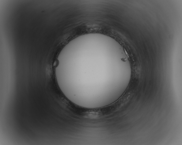 X0000100470756200806271141