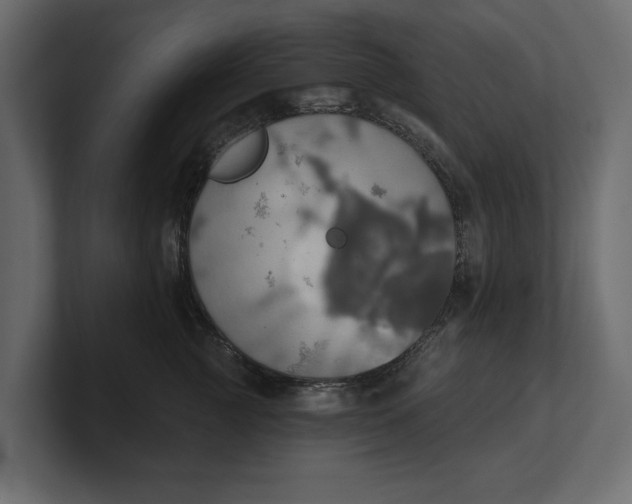 X0000100470761200806271141