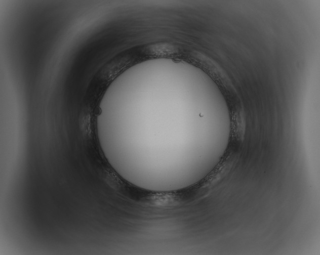 X0000100470762200806271141