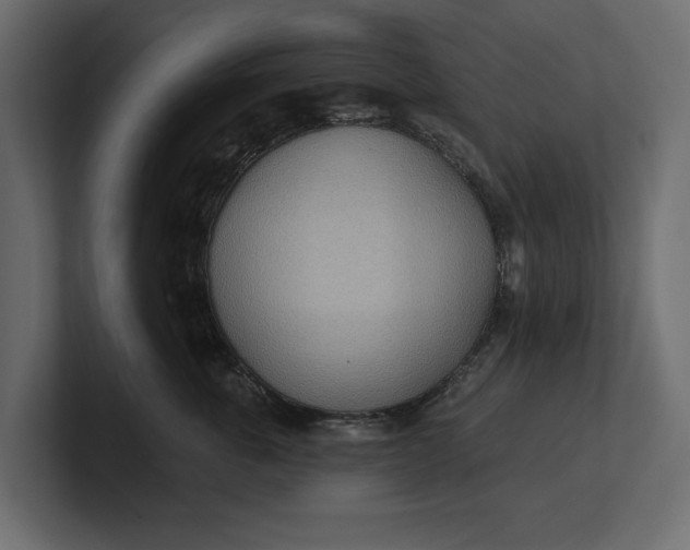 X0000100470763200806271141