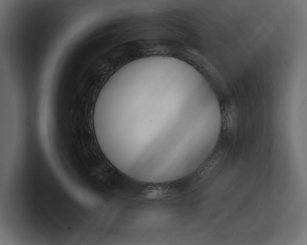 X0000100470764200806271141