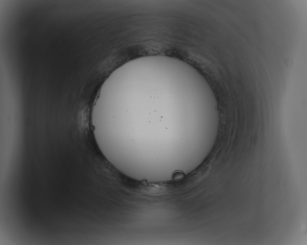 X0000100470768200806271141